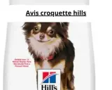 Chien chihuahua sur un sac de croquettes Hill's.
