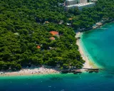 Malownicza plaża na punta rata chorwacja, otoczona sosnowym lasem, z turkusową wodą i wypoczywającymi ludźmi.
