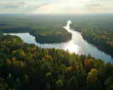 Malowniczy krajobraz, gdzie są Bory Tucholskie: rzeka meandruje wśród gęstych lasów iglastych i liściastych, mieniąc się w słońcu.
