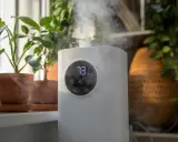 Luftbefeuchter sorgt für optimale Luftfeuchtigkeit für Pflanzen. Nebel steigt auf und umhüllt die grünen Blätter.