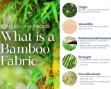 Bamboo fabric: is bamboo a natural fiber? Learn about its origin, versatility, strength, and environmental concerns.