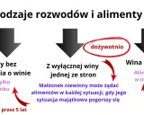 Rozwód za porozumieniem stron a alimenty: ugoda bez orzekania o winie (alimenty w niedostatku, przez 5 lat), z wyłącznej winy (dożywotnio lub w niedostatku), wina obu stron (alimenty w niedostatku, przez 5 lat).