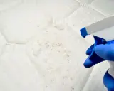Mano con guante azul rocía limpiador sobre un colchón con manchas de humedad y moho.
