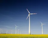 Windräder im Rapsfeld unter blauem Himmel. Ein Zeichen für die Zukunft der Energieversorgung, wie sie die EEG Ausschreibung fördert.