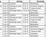 Trainingsplan für zwei Gruppen, aufgeteilt nach Tagen und Tageszeiten (morgens/abends). Ziel: 2 mal am Tag trainieren.