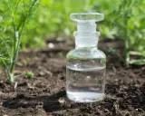 Bouteille en verre remplie de vinaigre blanc désherbant, posée sur la terre, entourée de verdure.