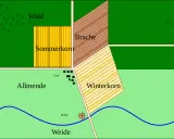 Schema der mittelalterlichen Dreifelderwirtschaft: Wald, Sommerkorn, Brache, Winterkorn, Allmende, Dorf, Mühle und Weide.