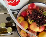 Äpfel und Holunderbeeren warten auf die Verarbeitung. Ein Schlauch führt zum Dampfentsafter, bereit für die Saftgewinnung.