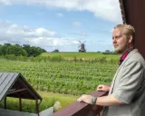 Man i kavaj blickar ut över böljande vingårdar i Skåne, med en väderkvarn i bakgrunden.