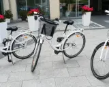 Ile kosztuje wypożyczenie roweru nad morzem? Ceny i porady