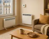 Deux radiateurs électriques modernes dans un salon cosy, offrant une solution d'économie de chauffage intelligente.