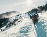 Grupa turystów wędruje ośnieżonym szlakiem w Tatrach. Warto zabrać ciepłe ubrania i raki, by bezpiecznie dotrzeć do celu.