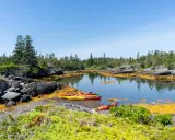 Bunte Kajaks liegen am Ufer bereit für einen **Urlaub im August**. Die felsige Küste mit Kiefern und Seetang lädt zum Erkunden ein.