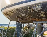 La coque d'un bateau est couverte de bernacles, signe qu'un traitement antifouling bateau est nécessaire.