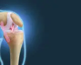 Anatomia kolana: kości, więzadła i chrząstki. Widoczne są mięśnie kolana, które stabilizują staw.
