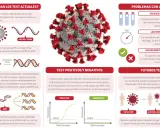 Ilustración explica cómo funciona un test PCR para detectar el ARN del virus, mostrando el proceso de amplificación y detección.