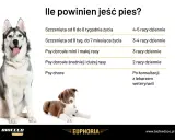 Tabela: ile powinien jeść szczeniak i dorosły pies. Podział na wiek i rasę, a także zalecenia dla psów chorych.