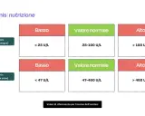 Valori di riferimento per l'amilasi: amilasemia (sangue) e amilasuria (urine). Indica se i valori sono bassi, normali o alti.