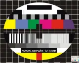 Test kolorów monitora: klasyczny obrazek testowy z kolorowymi pasami, czarno-białymi paskami i tekstem www.serwis-tv.com.