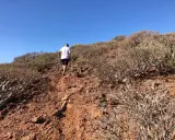 Montaña de Ifara y Los Riscos: Tu guía para la aventura volcánica en Tenerife