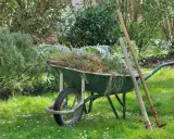 Brouette remplie de débris végétaux, à côté d'une houe et d'un râteau, sur un terrain envahi par les ronces et l'herbe folle.
