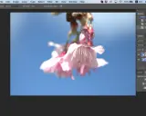 Photoshop: 3 metody wyostrzania zdjęć perfekcja bez błędów