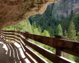 Sentiero scavato nella roccia con parapetto in legno, vista sulla valle boscosa di San Romedio.