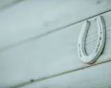 Jaskółka: Symbol szczęścia, nadziei i wierności. Poznaj jej moc!