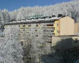 Sanatorium Leśnik Drzewiarz w Krynicy-Zdroju, ul. Podgórna 1, otoczone zimowym lasem.