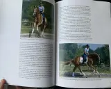 Reiterin mit braunem Pferd im Galopp, Dr. Klimke im leichten Sitz.