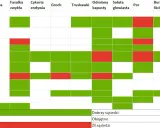 Tabela pokazuje, jakie warzywa sadzić obok siebie. Zielone pola oznaczają dobrych sąsiadów, czerwone - złych.