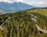 Ścieżka w koronach drzew w Bachledce, Słowacja, to jedna z najpiękniejszych atrakcji turystycznych. Widok na Tatry zapiera dech w piersiach.