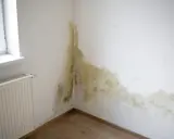 Manchas de moho y humedad en la esquina de una habitación, junto a una ventana y un radiador. Es hora de arreglar humedades.