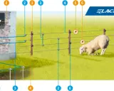 Schéma de branchement d'une clôture électrique : le boîtier, les fils, les piquets et la mise à la terre pour un mouton en sécurité.