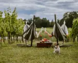 Relaks w winnicy z noclegiem: para w hamakach wznosi toasty, piesek pilnuje pikniku.