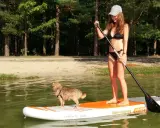 Dziewczyna na desce SUP z psem. Wesoły piesek towarzyszy jej w wodnej przygodzie.