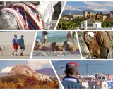Bunte Collage mit Esel, Alhambra, Strandleben, Geier und Berglandschaft – typische Eindrücke für Spanien Ferien.