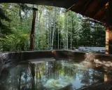 L.A.S. - lokum absolutnie spokojne. Wanna z hydromasażem w otoczeniu lasu, z widokiem na brzozy i sosny.