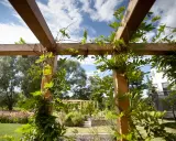 Drewniana pergola z pnączami, idealna do projektu oświetlenia ogrodu. W tle widać rabaty kwiatowe i budynek.