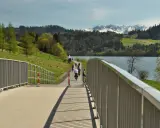 Rowerzyści na malowniczej trasie Velo Czorsztyn, z widokiem na jezioro i ośnieżone szczyty Tatr.