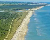 Lunga spiaggia sabbiosa con pineta alle spalle e mare azzurro. Alcune persone prendono il sole, creando un'atmosfera rilassata da spiaggia nudisti.
