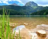 Spokojne jezioro w Durmitor National Park, otoczone gęstym lasem iglastym i majestatycznymi górami.