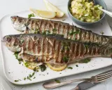 Zwei perfekt gegrillte Forellen liegen auf einem Teller, garniert mit Petersilie und Zitronenspalten. Dazu gibt es Kartoffelpüree mit Frühlingszwiebeln. Ein Genuss für alle, die Forelle grillen lieben.