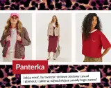 Bluzka panterka w stylizacjach: kurtka, sukienka i spódnica. Jak nosić panterkę, by tworzyć stylowe zestawy casual i glamour?