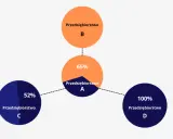 Schemat pokazuje relacje między przedsiębiorstwami: B ma 65% udziału w A, a A ma 52% w C i 100% w D.