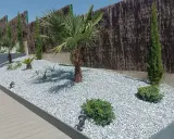 Jardines con piedras blancas, palmeras y cipreses, creando un oasis moderno y de bajo mantenimiento.