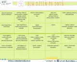 Jadłospis dla 9-miesięcznego dziecka: domowy chleb, zupy, placki, omlety i inne zdrowe posiłki.