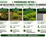 Porównanie metod: ręczne wyrywanie, ściółkowanie, gęste sadzenie i bariery betonowe to domowy sposób na chwasty.