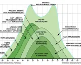 Piętra roślinności w Tatrach: od tundry po wiecznie zielone lasy podzwrotnikowe, zależnie od szerokości geograficznej i wysokości.