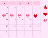 Calendario menstrual. La ovulación dura un día, marcado con un corazón rojo. Los días fértiles son los que rodean la ovulación.